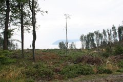 Podsumowanie HAL i harerski start Biery 2012